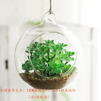 Хаки комплект, 12см