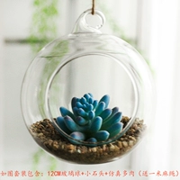 Horcho -colored одинокий 12 -см мяч набор e e