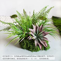 Набор зеленых растений своими руками A-(простая установка)