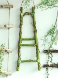 Bira Ladder Mori Creative Store Window Pendation Coundergarten Plant Угловая гостиная стена настенные настенные настенные