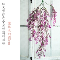 Фиолетовый -Red jinzhongliu Vinging Vine