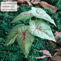 Один пучок из 5 маленьких склеенных листьев красного таро.