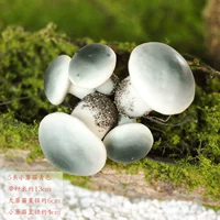 Ландшафтный дизайн маленького гриба зеленого цвета