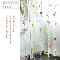 Оранжевая красная ромашка 5 струна середина -Number Set