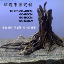 Sunken wood stump south beautiful branchy jungle custom scenery 20-120 fish tank
