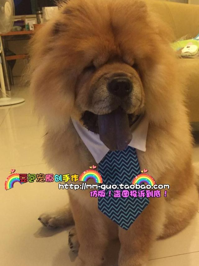 Bean bag original design Pet circumference production Big dog bow tie Big dog tie Big dog tie