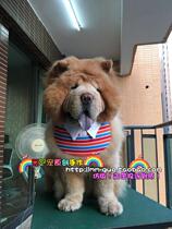 Original design of the Big Dog Water Resistance Towel Lion Golden Maussama Shirt Mouth