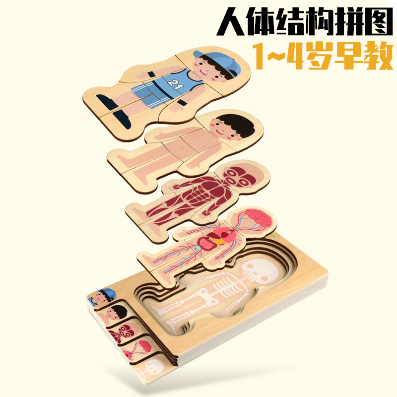 Children Early Teaching Wood Multilayer Puzzle Monsoon Teaching Aids Human Organ Structure Parquet Kindergarten Boys Girls' Toys