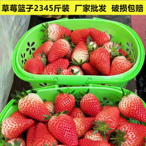 Strawberry basket plastic basket portable basket 2kg 3kg 4kg 5kg fruit basket egg basket disposable Cherry basket frame