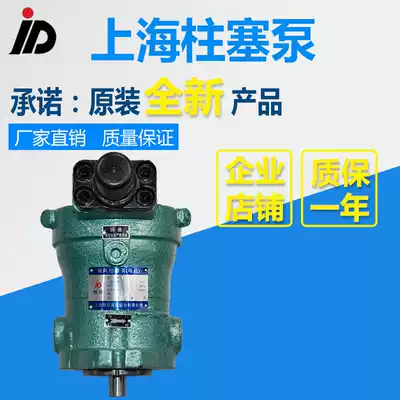10YCY 25YCY 40YCY 63YCY 80YCY 100YCY 160 250YCY14-1D Piston pump