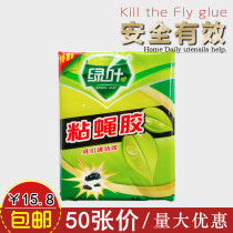 Green Leaf 50 Sticky Fly Paper Fly Stickler powerful home Fly Deity Fly plate Sticky Fly Board of Drosophila Sticky Fly Adhesive adhesive strip