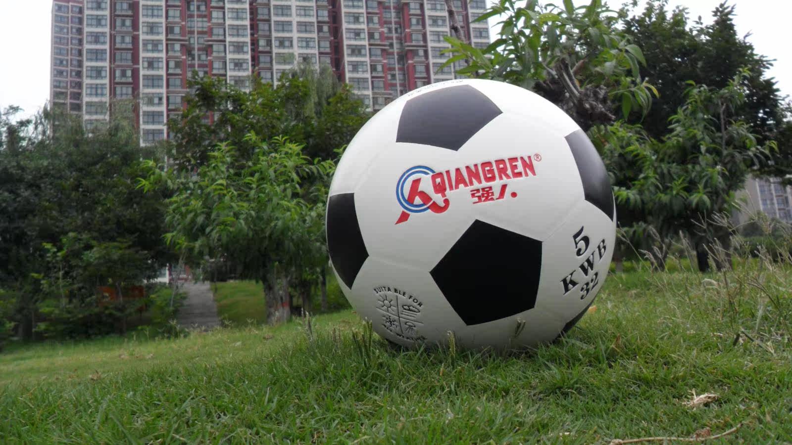 Ballon de volley-ball - Ref 2011819 Image 18