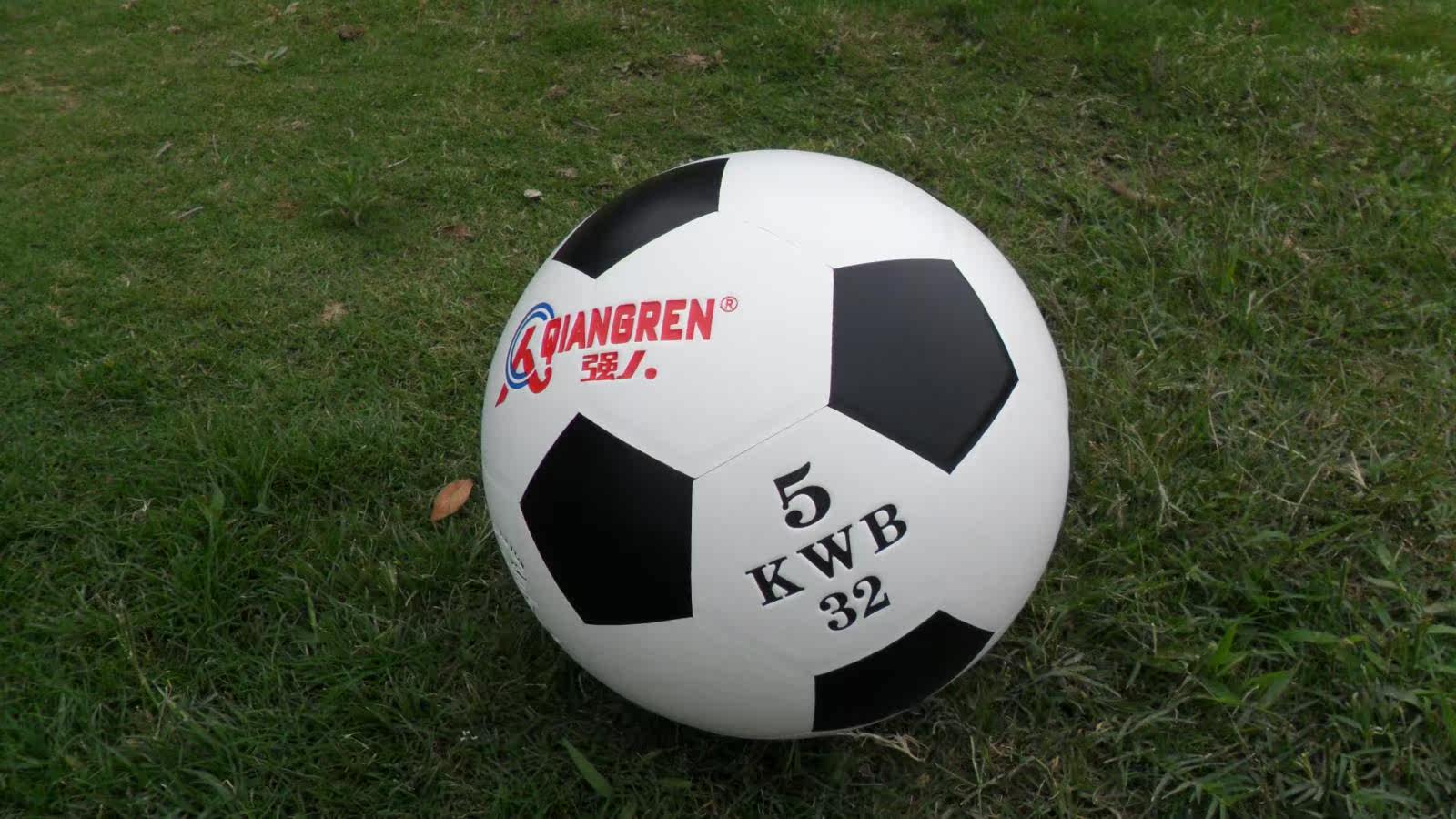 Ballon de volley-ball - Ref 2011819 Image 15