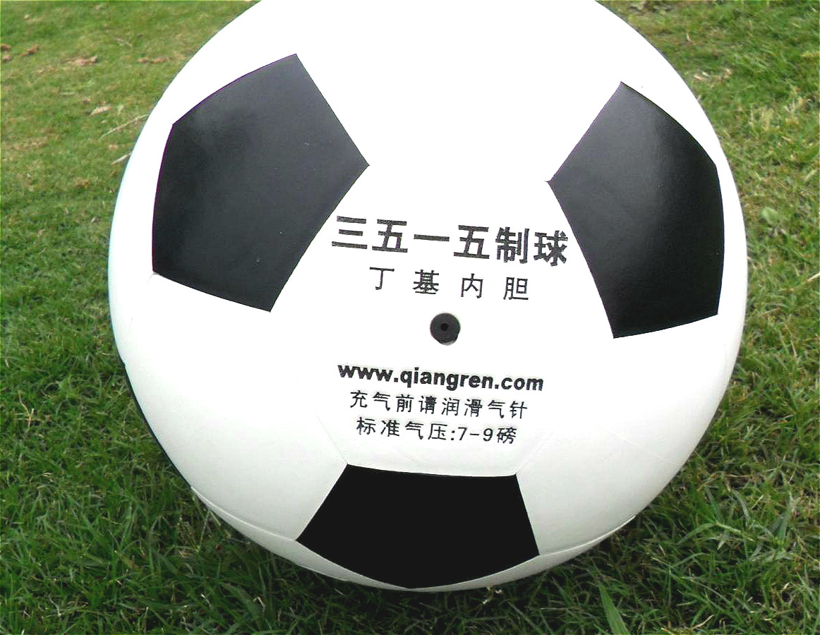 Ballon de volley-ball - Ref 2011819 Image 13