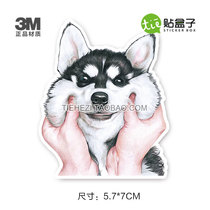 Alaska Puppy Stickers Notebook Suitcase Stickers Trolley Case Stickers Waterproof 3M skateboard Stickers