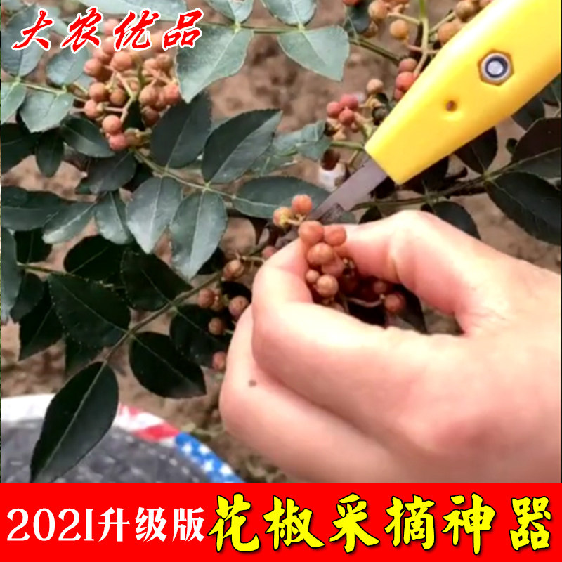 The new type of wild pepper's deity to take off the cloud handmade pepper plucker with the finger knife of the prickly pepper and the special deity scissors for the prickly pepper