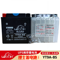 Spring breeze 250NK SR 250CLX CF250-A motorcycle battery 12V9AH battery DB9-BS