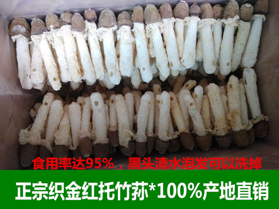 Dry Bamboo Sheng Weave Gold Red Entrusted Bamboo Sheng Edible Mushrooms 500g Bulk Guizhou Weave Golden Bamboo Sheng Bamboo Sheng Dried Goods
