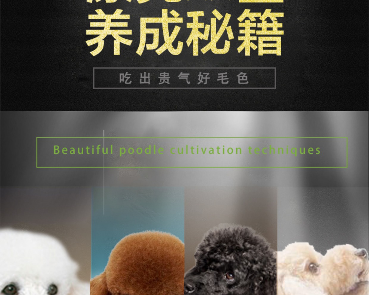 Canxi Beauty Snow Mountain Dinh dưỡng cho chó Thức ăn cho chó trưởng thành 1,5kg3 kg Chó nhỏ Teddy Đặc biệt hạt tự nhiên - Chó Staples ganador puppy