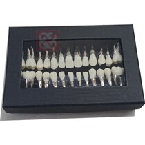 Orthodontic model practice with steel teeth fitted with a wax embankment such as Erji class II for correcting the wrong jaw deformity tooth