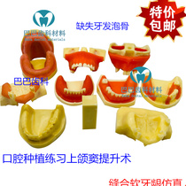 Oral implant tooth model soft gingival foam bone maxillary sinus lifting model students practice perforated planting nails