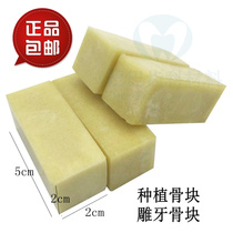 Dental Oral Model Planting Exercise Bone Block Engraving Model Simulation Dental Bone Trough Teaching Model 4