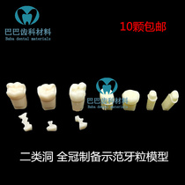 Dental category II cavity standard tooth preparation standard tooth grain preparation standard model cavity cavity preparation tooth demonstration model