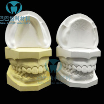 Dental materials Denture standard plaster model with teeth toothless full mouth Super hard plaster model Oral teaching