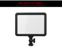 Shenniu LED P120C fill light anchor light adjustable color temperature camera light light wedding LED photography light flat panel