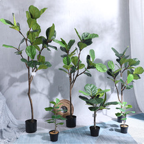 Nordic ins simulation of Qinye Banyan plant potted high-quality feel fake green planting living room B & B decoration