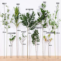 Home accessories decoration simulation green leaf plant single eucalyptus leaf bay leaf fruit leaf Milan leaf multi-petal leaf
