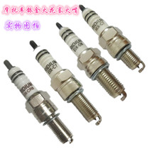 Applicable Qianjiang Xiaolong BJ125-3E Benali Hongbao Dragon BJ150-29B High Performance Iridium Gold Spark Plug