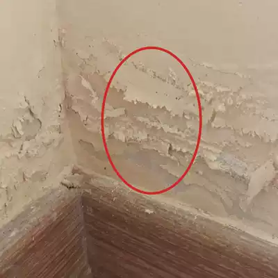 Wall decoration wall decoration wall decoration wall paint filling wall paste repair kit