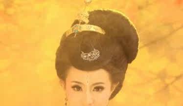 Extension cheveux - Chignon - Ref 236778 Image 6