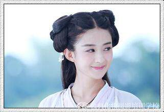 Extension cheveux - Chignon - Ref 229227 Image 7