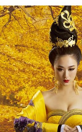 Extension cheveux - Chignon - Ref 236104 Image 6