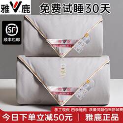 Yalu Silk Quilt, Mulberry Silk Spring and Autumn Quilt, Two-In-One Quilt, Winter Quilt Core, Thickened Warm Quilt, Winter Quilt