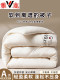 Yalu Soy Fiber Quilt Winter Quilt Spring & Fall Quilt Core Single Quilt Universal Summer Air-Conditioned Quilt Summer Cool Quilt