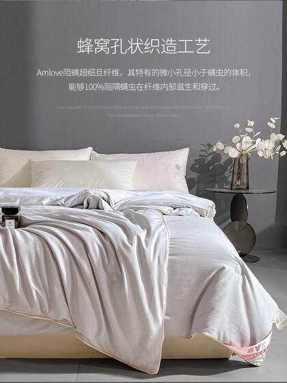 Yalu Silk Quilt, Mulberry Silk Spring and Autumn Quilt, Two-In-One Quilt, Winter Quilt Core, Thickened Warm Quilt, Winter Quilt