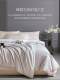 Yalu Silk Quilt, Mulberry Silk Spring and Autumn Quilt, Two-In-One Quilt, Winter Quilt Core, Thickened Warm Quilt, Winter Quilt