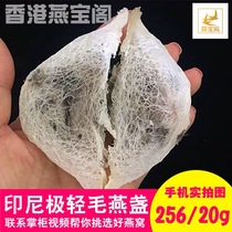 Light hair birds nest Pregnant women dry birds nest nutritional nourishment Natural bulk rainy season Nouveau Riche Golden swiftlet strips 20 grams