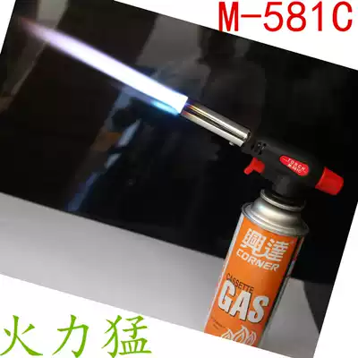 Gas gun Gas blowtorch Outdoor baking spitfire gun igniter Cassette spray gun M-581C