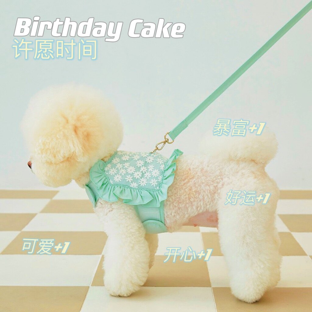 South Korean macaroon lace cat breast cuddling bag more than a bear dog traction rope lace pet out for a dog rope