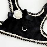 Собаки для питомца, маленькие собаки, грудь, одежда, маленький благовонный ветерок с собаками, ходячими собаками, Vip Bin Bear