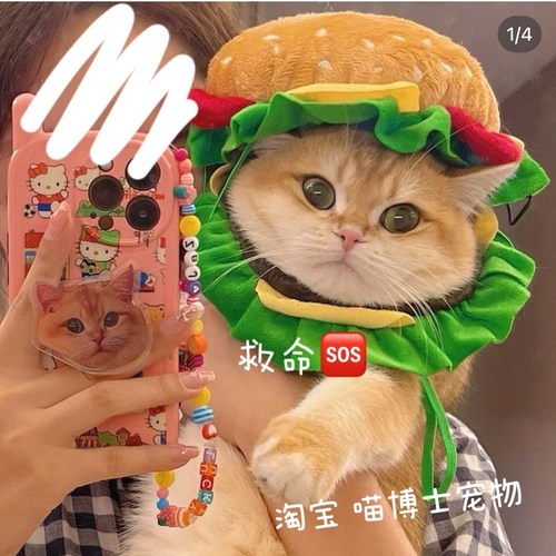 Собака, кошки, часы Гамбурга, шляпа, мультфильм домашний мяу, одежда, смешная одежда, взрослая версия домашних животных