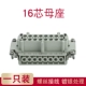 16 Core [Mother Core]