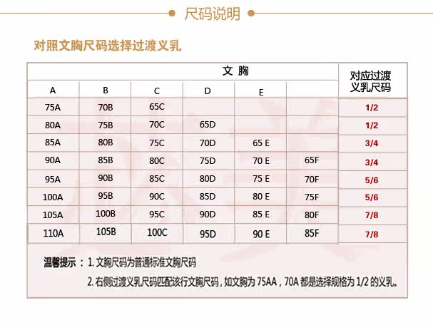 Pads pour soutien-gorge BEAUTYFORM - Ref 818861 Image 16