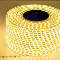 220 volt led light strip 3528 5050 waterproof soft light strip highlight