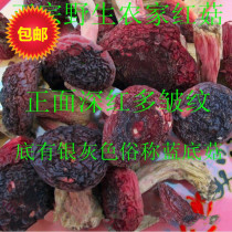 Red mushroom head Fujian Sanming Jianning wild red mushroom food Wuyishan Red Mushroom 100g