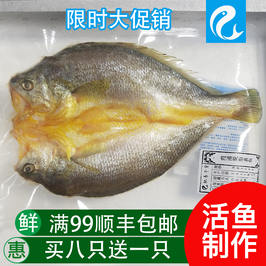 Cucumber Ningde specialty skim large yellow croaker salted fish dried fresh yellow croaker sea fish dried dry goods